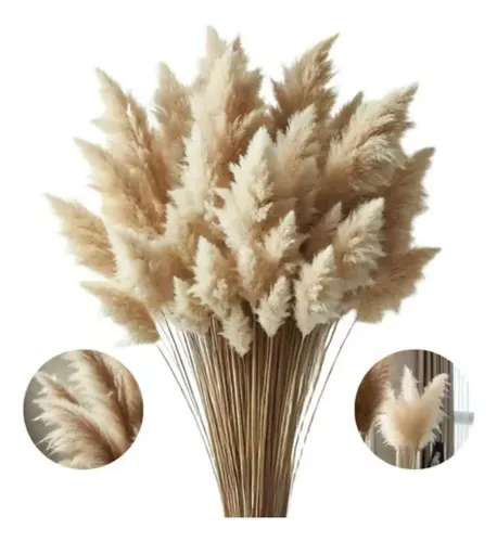 Capim Dos Pampas Decoração Seco Plumas Artificial 6 Hastes Bege