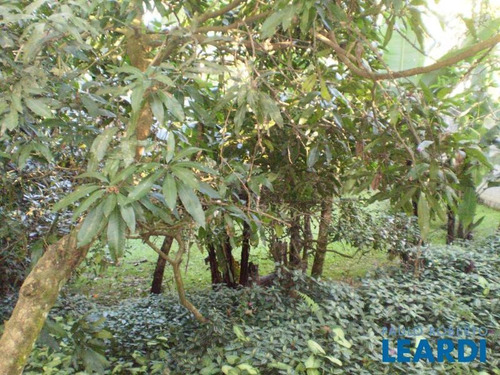 Imagem 5 de 5 de Casa Em Condomínio - Condomínio Arujazinho 4 - Sp - 341981
