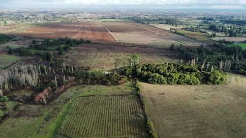 Huerto Arandanos 12 Hectareas San Ignacio - Tranque-sala De