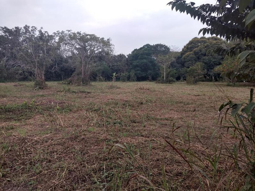 Vendo Terreno 2412 M² Isla De Juana Moza Tuxpan Veracruz