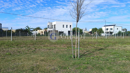 Lote En Venta En Santa Sofia, Pilar Del Este