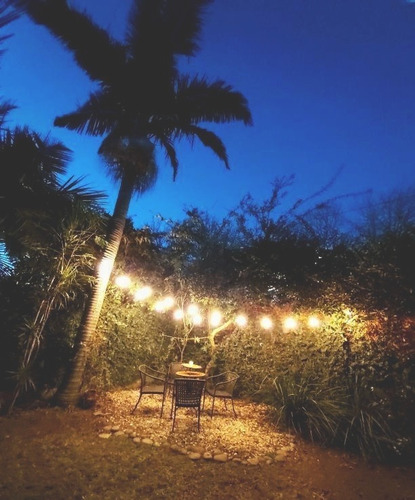 30 Mts Guirnalda De Luces P/exterior C/focos Vintage Calidos
