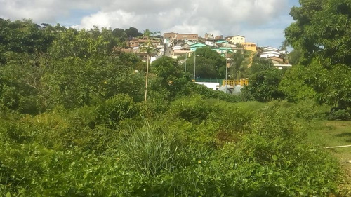 Imagem 4 de 8 de Terreno Em Guabiraba Nova Descoberta - Te0049