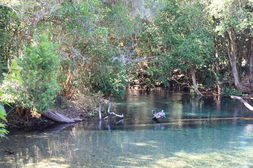 Campo De 326 Hectáreas En Llanada Grande, Cochamó.