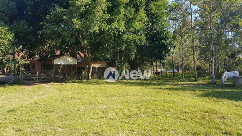 Imagem 15 de 25 de Chácara Com 3 Dormitórios À Venda, 870000 M² Por R$ 7.000.000 - Bairro Imigrantes - Capela De Santana/rs - Ch0085