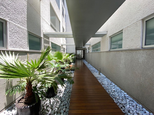 Imagen 22 de 23 de Garden House Con Terraza. Iluminado Y Moderno. Aristóteles