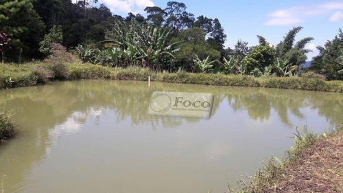 Imagem 14 de 30 de Sítio Com 3 Dormitórios À Venda, 302000 M² Por R$ 1.200.000,00 - Centro - Tapiraí/sp - Si0004