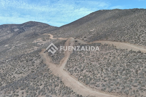 22 Parcelas De 5,000 M2 En Venta El Hinojal,valle De Elqui.