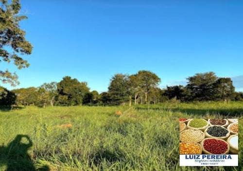 Imagem 3 de 15 de Fazenda A Venda No Formoso Do Araguaia-to-de 240 Alqueirões (dupla Aptidão) - 1669