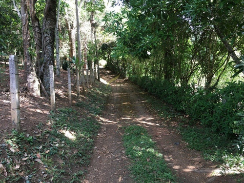 Imagem 2 de 30 de Chácara Para Venda No Bairro Pinhal Em Piracaia Sp - Ch00031 - 67721189