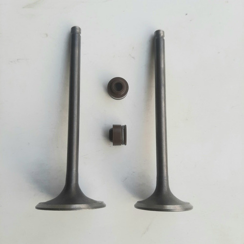 Imagen 1 de 2 de Kit De Válvulas Admisión Y Escape Para Veloci Xeverus 250