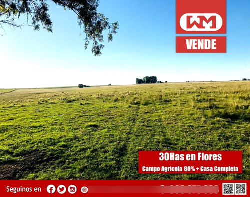 Venta Campo Flores 30has Agrícolas 80% Casco Completo