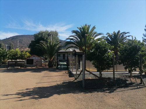 Excelente Parcela Fundo Las Piedras-quilpue