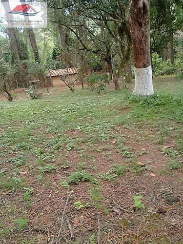 Imagem 12 de 15 de Chácara 2000m² - Mairiporã Bairro Caceia - Residêncial Caceia - 188