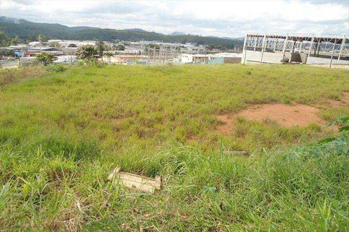 Imagem 1 de 6 de Terreno, Chácara Do Solar I (fazendinha), Santana De Parnaíba - R$ 25 Mi, Cod: 118300 - V118300