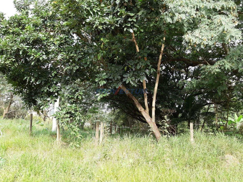 Imagem 10 de 11 de Terreno À Venda Em Jardim Monte Belo - Te268331