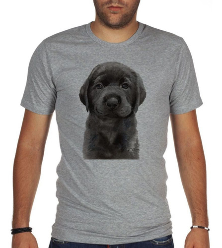 Remera De Hombre Perro Labrador Chocolate Bebe Puppy