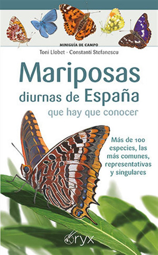 Mariposas Diurnas De España Que Hay Que Conocer - Toni Llobe