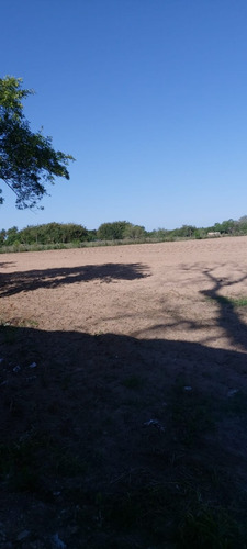 Vendo Casa En Terreno De Ha Y Media, Saladas