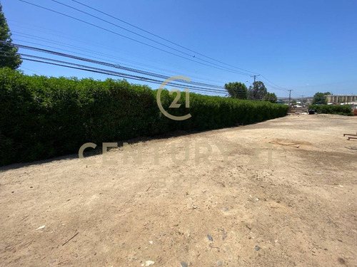 Imagen 8 de 19 de Venta Terreno En Villa Alemana