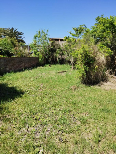 Casa En Venta De 3 Ambientes En Rincon De Milberg Tigre A Reciclar Tasada A Valor Lote