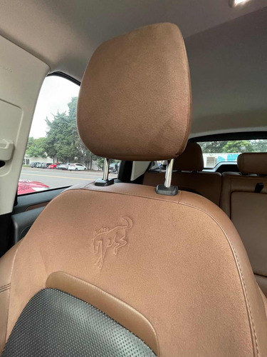 Bronco