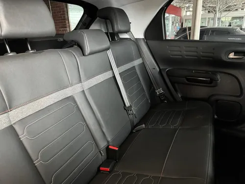 C4 Cactus Shine