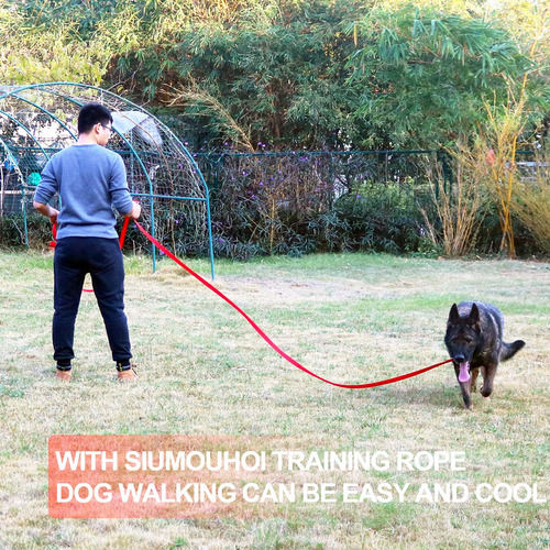 Siumouhoi Perro/cachorro Sujeto A Retiro Del Mercado Entrena