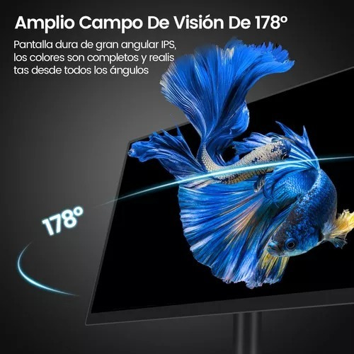 Monitor De Computadora 20'' Fhd Led Pantalla Hdmi+vga 75hz Negro (Usado)