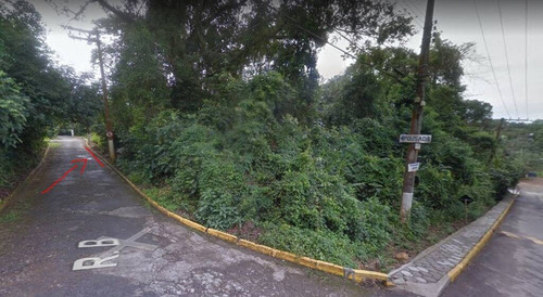 Imagem 2 de 3 de Terreno Na Praia Do Felix - 39
