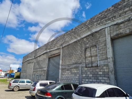 Imagem 1 de 6 de Galpao - Gl00001 - 69909022