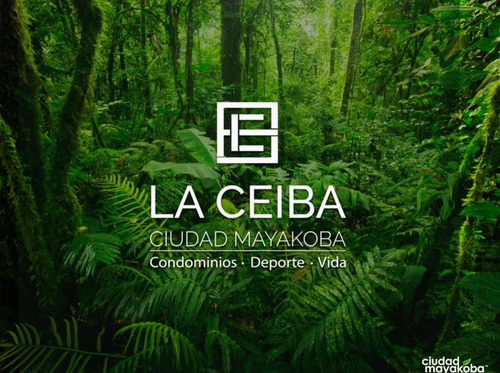 Ciudad Mayakoba