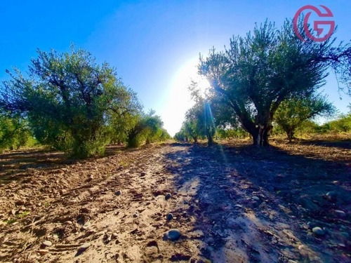 Imagen 10 de 16 de Greenwood Vende Finca Con Potencial