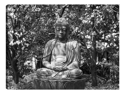 Cuadro Decorativo - Buda Del Jardín Zen