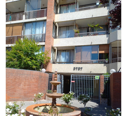 Hermoso Departamento Arriendo Bodega/estacionamiento, Ñuñoa