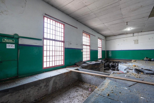 Imagen 21 de 30 de Galpón Único, Ex-centro Promoción Olímpica - Villa Devoto
