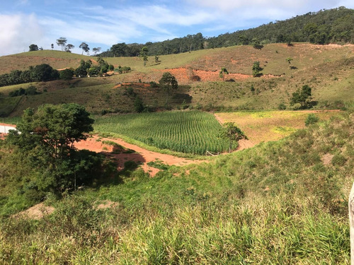 Imagem 10 de 16 de Fazenda 208 Hectares. Ponte Nova / Barra Longa - 6600