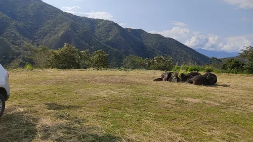 Lote En Venta En Santafe De Antioquia. Cod V12510