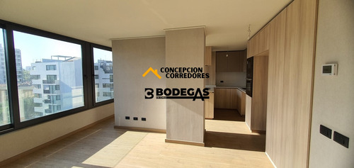 Departamento Duplex 2d+3b Providencia - Metro Fco Bilbao