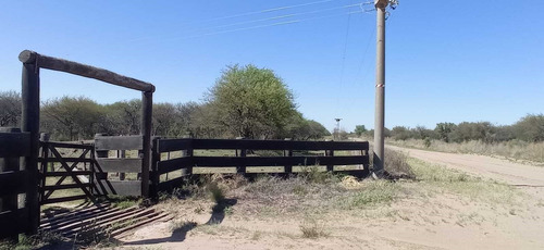 Imagen 2 de 15 de Terreno Campo En Venta Ubicado En La Maruja, Rancul