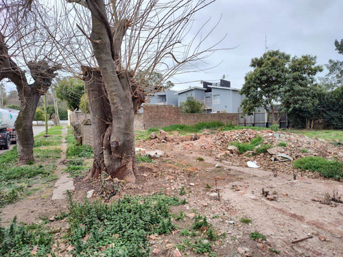 Imagen 5 de 13 de Terreno En Venta En Vicente Casares