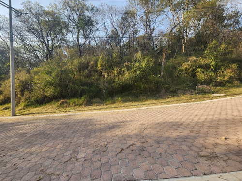 Venta Lote Gladiola 42 Con Vistas Panorámicas Y Todos Los Servicios Y Proyecto Incluído. A Unos Pasos De Las Amenidades En Nueva Zona De Fracc Rancho San Diego Ixtapan De La Sal Edomex