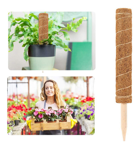 Soporte Para Plantas Con Forma De Bastón De Fibra De Coco, R