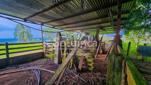 Imagen 7 de 27 de Amplia Finca, Colinas De San Benito - El Vigía