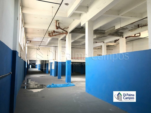 Imagem 6 de 13 de Galpão 1090,00m² Total, 7 Salas, 5 Vagas De Estacionamento - Dp4913