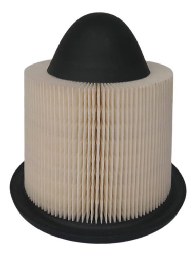 Filtro Aire Ford Fortaleza F150 Triton F250 F350 05-10 Spf