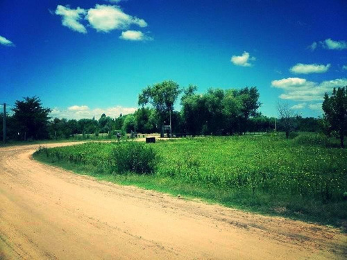 Imagen 1 de 5 de Peninsula - Clavarino Al Este