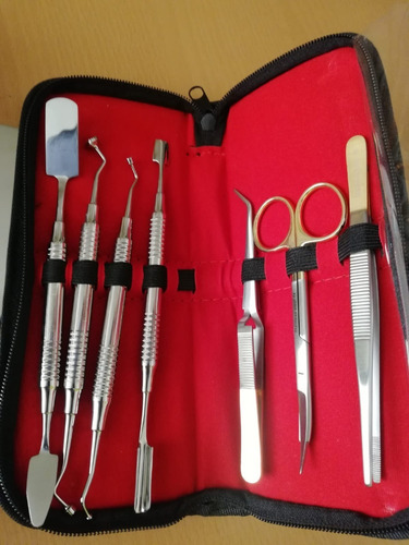 Set De 7 Herramientas Dental (recomendado Prf) Con Estuche