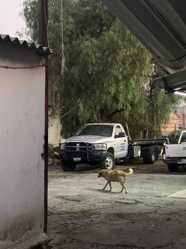 Grúa Plataforma Ram 4000 Cummins Turbo