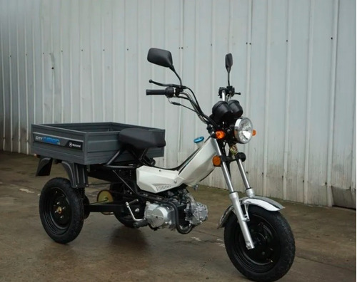 Imagen 17 de 25 de Motomel City 110 Cargo
